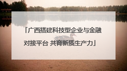广西搭建科技型企业与金融对接平台 共育新质生产力