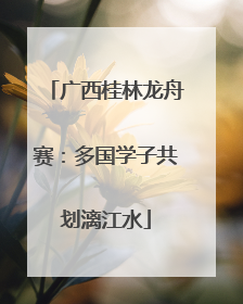 广西桂林龙舟赛：多国学子共划漓江水