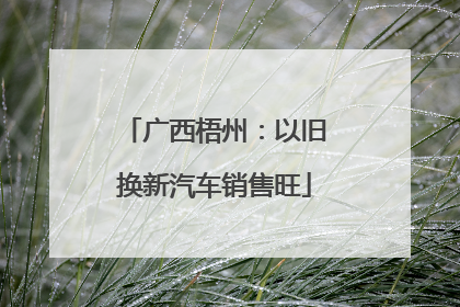 广西梧州：以旧换新汽车销售旺