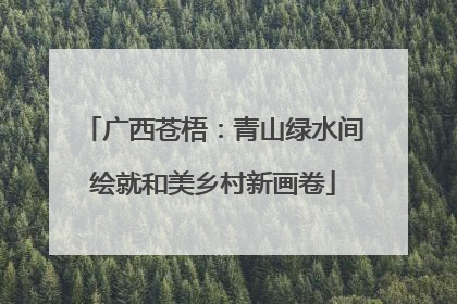 广西苍梧：青山绿水间绘就和美乡村新画卷