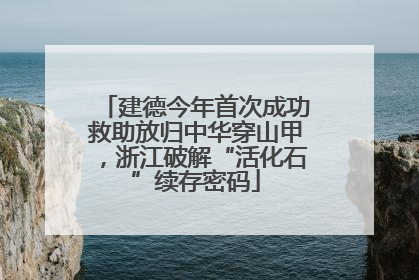 建德今年首次成功救助放归中华穿山甲，浙江破解“活化石”续存密码
