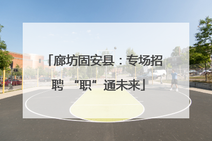 廊坊固安县：专场招聘 “职”通未来