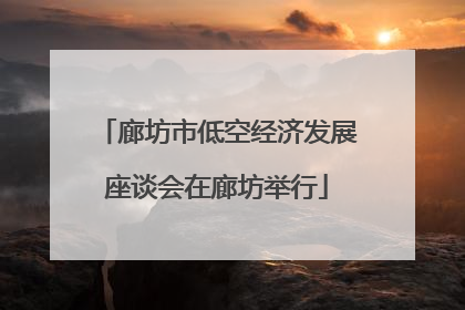 廊坊市低空经济发展座谈会在廊坊举行