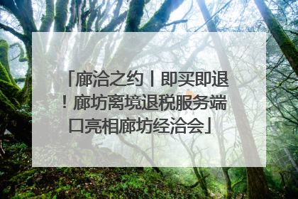 廊洽之约丨即买即退！廊坊离境退税服务端口亮相廊坊经洽会