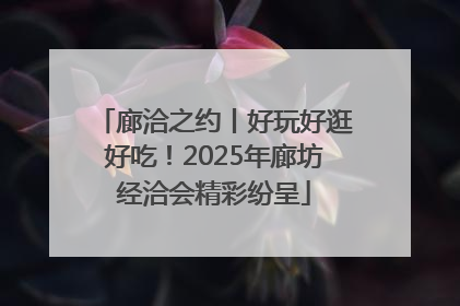 廊洽之约丨好玩好逛好吃！2025年廊坊经洽会精彩纷呈