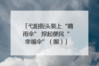 弋阳街头装上“晴雨伞” 撑起便民“幸福伞”（图）