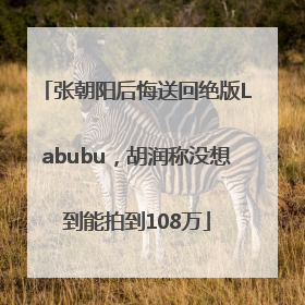 张朝阳后悔送回绝版Labubu，胡润称没想到能拍到108万