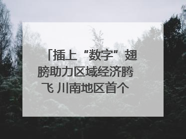插上“数字”翅膀助力区域经济腾飞 川南地区首个智算中心启动