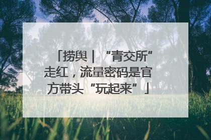 捞舆｜“青交所”走红，流量密码是官方带头“玩起来”