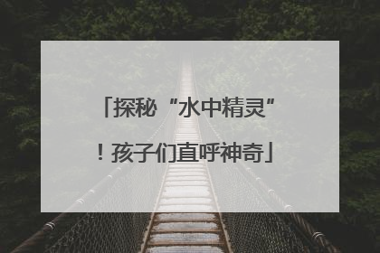 探秘“水中精灵”！孩子们直呼神奇