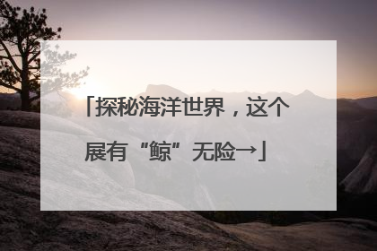 探秘海洋世界，这个展有“鲸”无险→