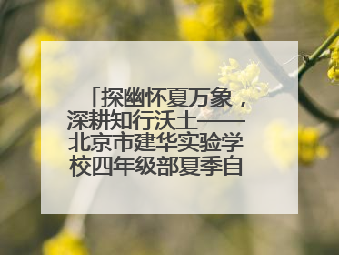 探幽怀夏万象，深耕知行沃土——北京市建华实验学校四年级部夏季自然空间课程纪实