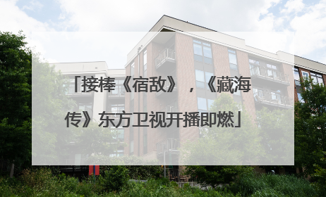 接棒《宿敌》，《藏海传》东方卫视开播即燃
