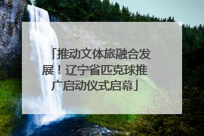 推动文体旅融合发展！辽宁省匹克球推广启动仪式启幕