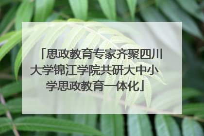 思政教育专家齐聚四川大学锦江学院共研大中小学思政教育一体化