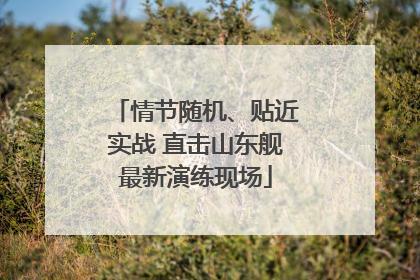 情节随机、贴近实战 直击山东舰最新演练现场