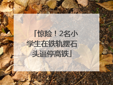 惊险！2名小学生在铁轨摆石头逼停高铁