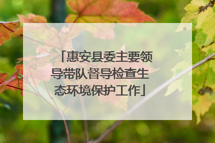 惠安县委主要领导带队督导检查生态环境保护工作