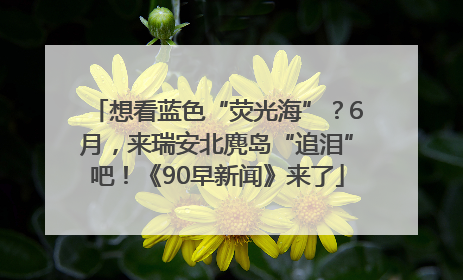 想看蓝色“荧光海”？6月，来瑞安北麂岛“追泪”吧！《90早新闻》来了
