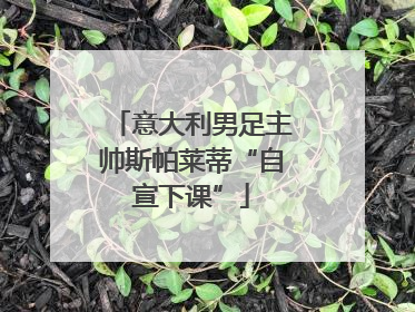 意大利男足主帅斯帕莱蒂“自宣下课”