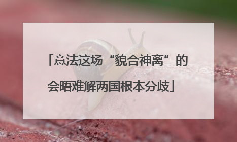 意法这场“貌合神离”的会晤难解两国根本分歧