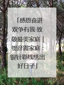感恩奋进 双争有我·致敬最美家庭｜贺彦霞家庭：银针彩线绣出好日子