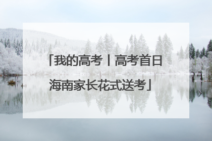 我的高考丨高考首日 海南家长花式送考