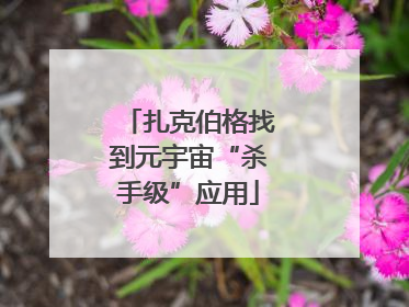 扎克伯格找到元宇宙“杀手级”应用