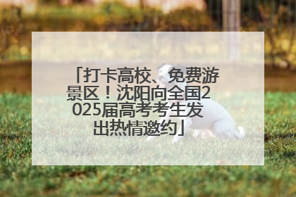 打卡高校、免费游景区！沈阳向全国2025届高考考生发出热情邀约