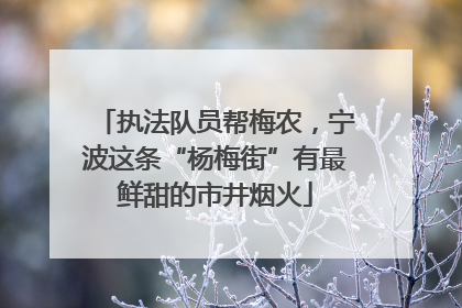执法队员帮梅农，宁波这条“杨梅街”有最鲜甜的市井烟火