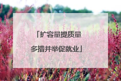 扩容量提质量 多措并举促就业