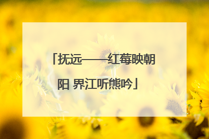 抚远——红莓映朝阳 界江听熊吟