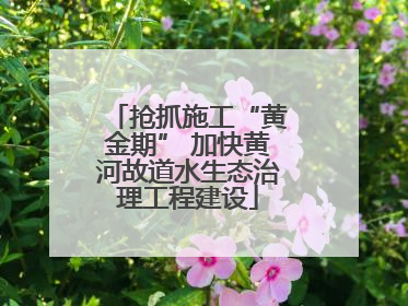 抢抓施工“黄金期” 加快黄河故道水生态治理工程建设