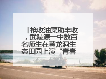 抢收油菜助丰收，武陵源一中数百名师生在黄龙洞生态田园上演“青春助农记”