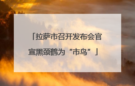 拉萨市召开发布会官宣黑颈鹤为“市鸟”