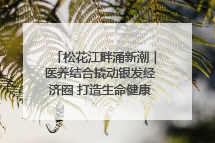 松花江畔涌新潮｜医养结合撬动银发经济圈 打造生命健康产业新样本
