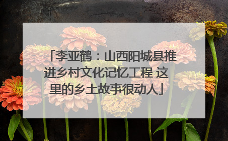 李亚鹤：山西阳城县推进乡村文化记忆工程 这里的乡土故事很动人