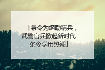 条令为纲励精兵，武警官兵掀起新时代条令学用热潮