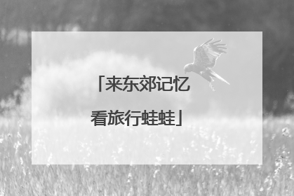 来东郊记忆 看旅行蛙蛙