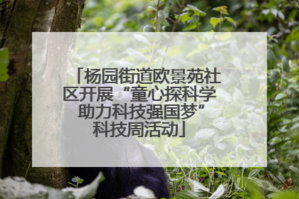 杨园街道欧景苑社区开展“童心探科学 助力科技强国梦”科技周活动