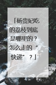 杨贵妃吃的荔枝到底是哪里的？怎么走的“快递”？