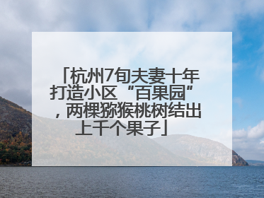杭州7旬夫妻十年打造小区“百果园”，两棵猕猴桃树结出上千个果子