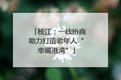 枝江：一线协商助力打造老年人“幸福港湾”