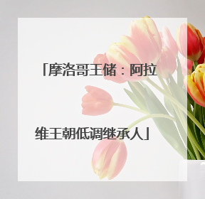 摩洛哥王储：阿拉维王朝低调继承人