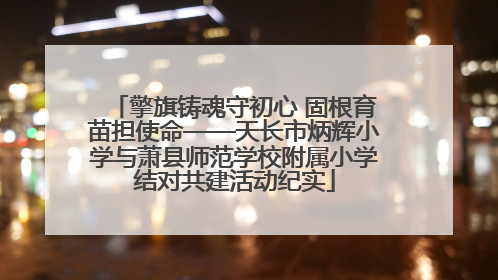 擎旗铸魂守初心 固根育苗担使命——天长市炳辉小学与萧县师范学校附属小学结对共建活动纪实