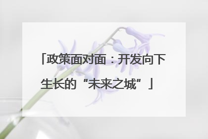 政策面对面：开发向下生长的“未来之城”