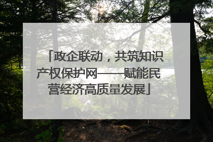 政企联动，共筑知识产权保护网——赋能民营经济高质量发展