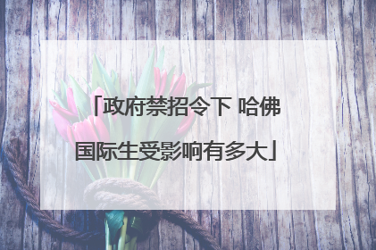 政府禁招令下 哈佛国际生受影响有多大