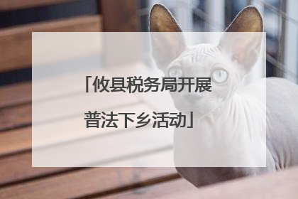 攸县税务局开展普法下乡活动