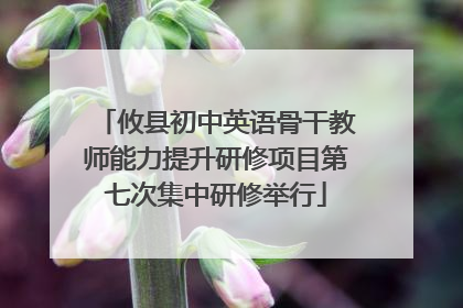 攸县初中英语骨干教师能力提升研修项目第七次集中研修举行